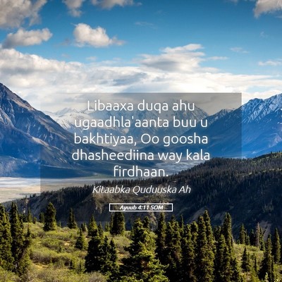 Picture 05 - Ayuub 4:11 SOM - Libaaxa duqa ahu ugaadhla'aanta buu u bakhtiyaa, - Bible Verse Picture