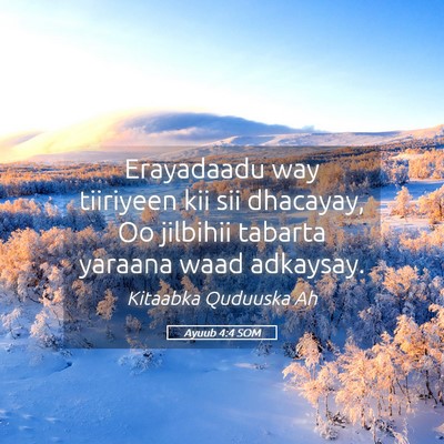 Picture 05 - Ayuub 4:4 SOM - Erayadaadu way tiiriyeen kii sii dhacayay, Oo - Bible Verse Picture