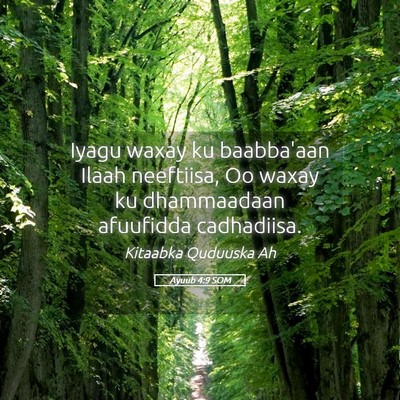 Picture 05 - Ayuub 4:9 SOM - Iyagu waxay ku baabba'aan Ilaah neeftiisa, Oo - Bible Verse Picture
