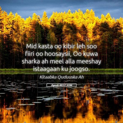 Picture 05 - Ayuub 40:12 SOM - Mid kasta oo kibir leh soo fiiri oo hoosaysii, Oo - Bible Verse Picture