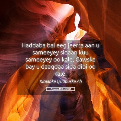 Picture 05 - Ayuub 40:15 SOM - Haddaba bal eeg jeerta aan u sameeyey sidaan kuu - Bible Verse Picture