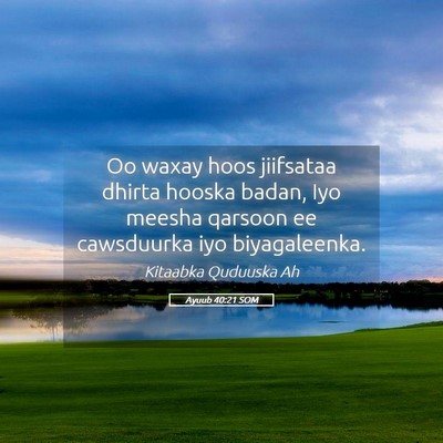 Picture 05 - Ayuub 40:21 SOM - Oo waxay hoos jiifsataa dhirta hooska badan, Iyo - Bible Verse Picture
