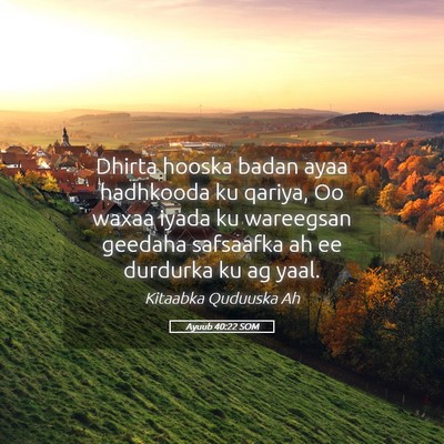 Picture 05 - Ayuub 40:22 SOM - Dhirta hooska badan ayaa hadhkooda ku qariya, Oo - Bible Verse Picture
