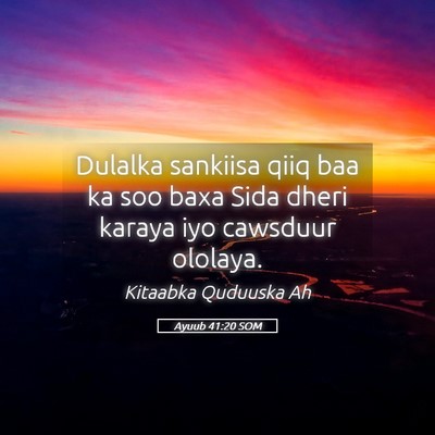 Picture 05 - Ayuub 41:20 SOM - Dulalka sankiisa qiiq baa ka soo baxa Sida dheri - Bible Verse Picture