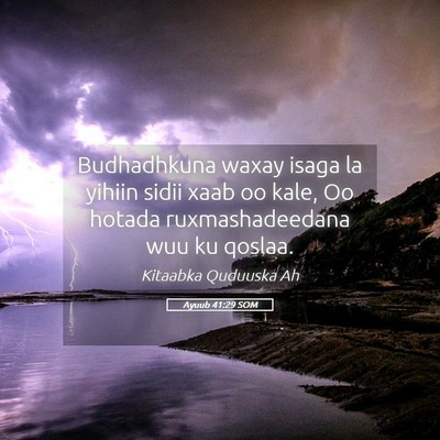 Picture 05 - Ayuub 41:29 SOM - Budhadhkuna waxay isaga la yihiin sidii xaab oo - Bible Verse Picture