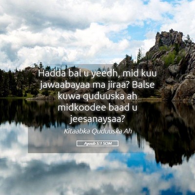 Picture 05 - Ayuub 5:1 SOM - Hadda bal u yeedh, mid kuu jawaabayaa ma jiraa? - Bible Verse Picture