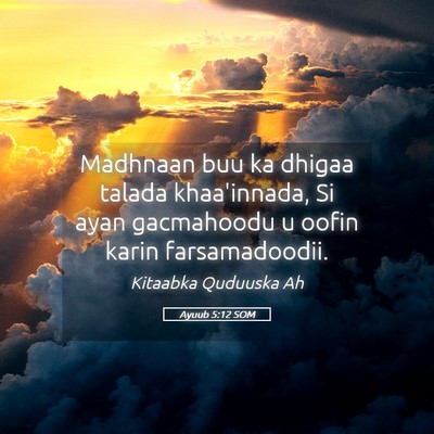 Picture 05 - Ayuub 5:12 SOM - Madhnaan buu ka dhigaa talada khaa'innada, Si - Bible Verse Picture