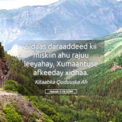 Picture 05 - Ayuub 5:16 SOM - Sidaas daraaddeed kii miskiin ahu rajuu leeyahay, - Bible Verse Picture