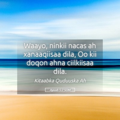 Picture 05 - Ayuub 5:2 SOM - Waayo, ninkii nacas ah xanaaqiisaa dila, Oo kii - Bible Verse Picture