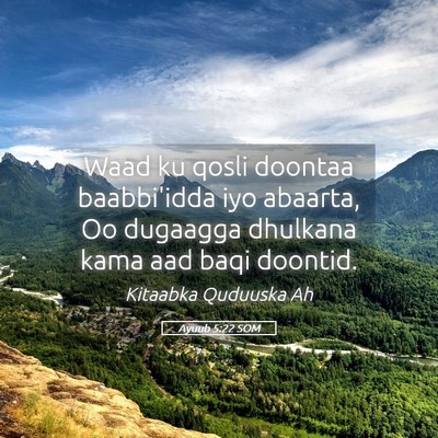 Picture 05 - Ayuub 5:22 SOM - Waad ku qosli doontaa baabbi'idda iyo abaarta, Oo - Bible Verse Picture
