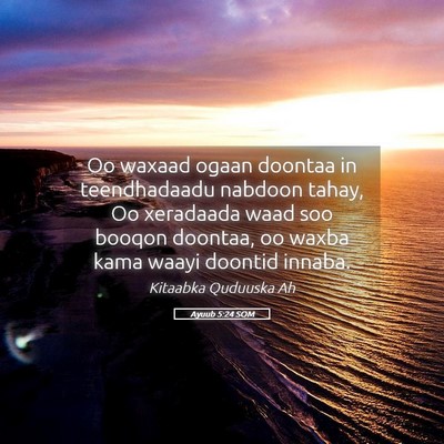 Picture 05 - Ayuub 5:24 SOM - Oo waxaad ogaan doontaa in teendhadaadu nabdoon - Bible Verse Picture