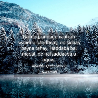 Picture 05 - Ayuub 5:27 SOM - Bal eeg, annagu xaalkan waannu baadhnay, oo - Bible Verse Picture