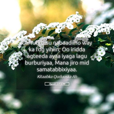 Picture 05 - Ayuub 5:4 SOM - Carruurtiisu nabaadiino way ka fog yihiin, Oo - Bible Verse Picture