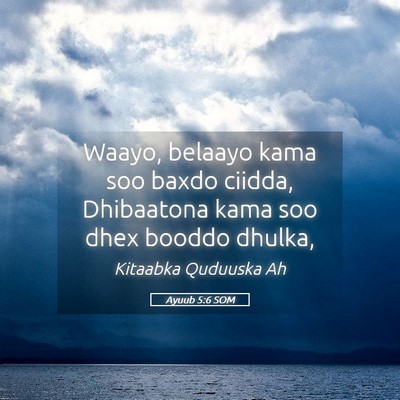 Picture 05 - Ayuub 5:6 SOM - Waayo, belaayo kama soo baxdo ciidda, Dhibaatona - Bible Verse Picture