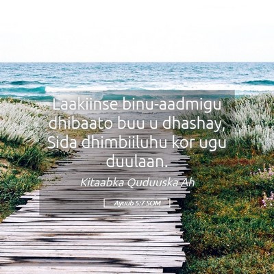 Picture 05 - Ayuub 5:7 SOM - Laakiinse binu-aadmigu dhibaato buu u dhashay, - Bible Verse Picture