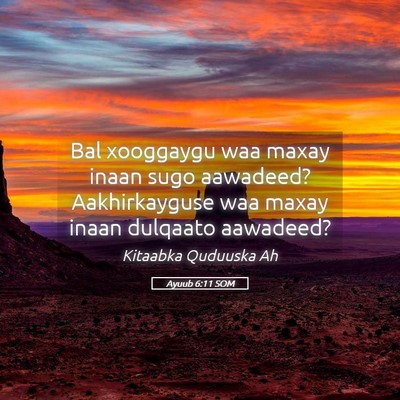 Picture 05 - Ayuub 6:11 SOM - Bal xooggaygu waa maxay inaan sugo aawadeed? - Bible Verse Picture