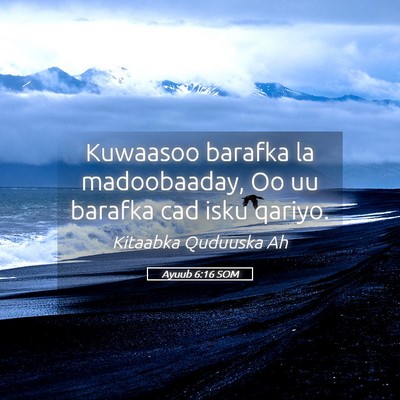 Picture 05 - Ayuub 6:16 SOM - Kuwaasoo barafka la madoobaaday, Oo uu barafka - Bible Verse Picture