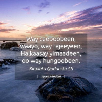 Picture 05 - Ayuub 6:20 SOM - Way ceeboobeen, waayo, way rajeeyeen, Halkaasay - Bible Verse Picture