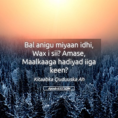 Picture 05 - Ayuub 6:22 SOM - Bal anigu miyaan idhi, Wax i sii? Amase, - Bible Verse Picture