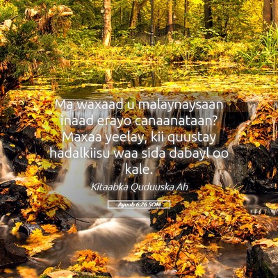Picture 05 - Ayuub 6:26 SOM - Ma waxaad u malaynaysaan inaad erayo canaanataan? - Bible Verse Picture