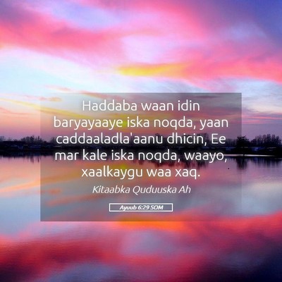 Picture 05 - Ayuub 6:29 SOM - Haddaba waan idin baryayaaye iska noqda, yaan - Bible Verse Picture