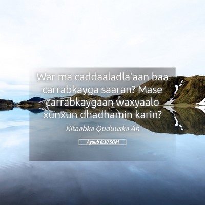 Picture 05 - Ayuub 6:30 SOM - War ma caddaaladla'aan baa carrabkayga saaran? - Bible Verse Picture
