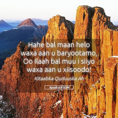 Picture 05 - Ayuub 6:8 SOM - Hahe bal maan helo waxa aan u baryootamo, Oo - Bible Verse Picture
