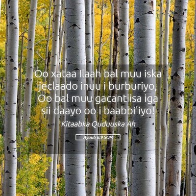 Picture 05 - Ayuub 6:9 SOM - Oo xataa Ilaah bal muu iska jeclaado inuu i - Bible Verse Picture
