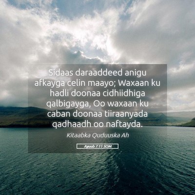 Picture 05 - Ayuub 7:11 SOM - Sidaas daraaddeed anigu afkayga celin maayo; - Bible Verse Picture