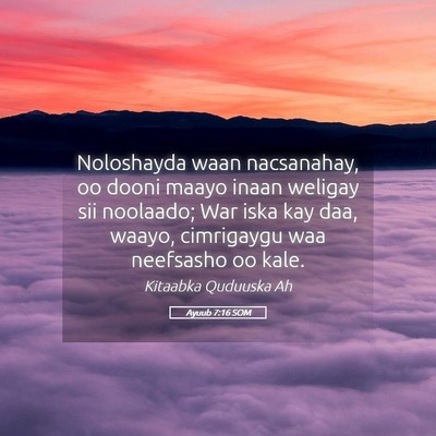 Picture 05 - Ayuub 7:16 SOM - Noloshayda waan nacsanahay, oo dooni maayo inaan - Bible Verse Picture