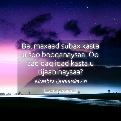 Picture 05 - Ayuub 7:18 SOM - Bal maxaad subax kasta u soo booqanaysaa, Oo aad - Bible Verse Picture