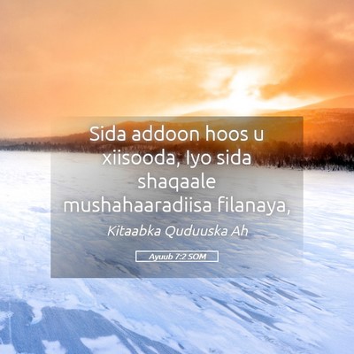 Picture 05 - Ayuub 7:2 SOM - Sida addoon hoos u xiisooda, Iyo sida shaqaale - Bible Verse Picture