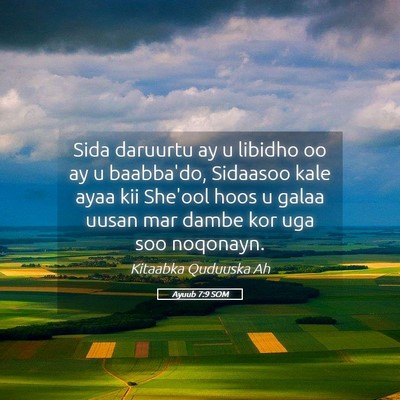 Picture 05 - Ayuub 7:9 SOM - Sida daruurtu ay u libidho oo ay u baabba'do, - Bible Verse Picture