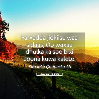 Picture 05 - Ayuub 8:19 SOM - Farxadda jidkiisu waa sidaas, Oo waxaa dhulka ka - Bible Verse Picture