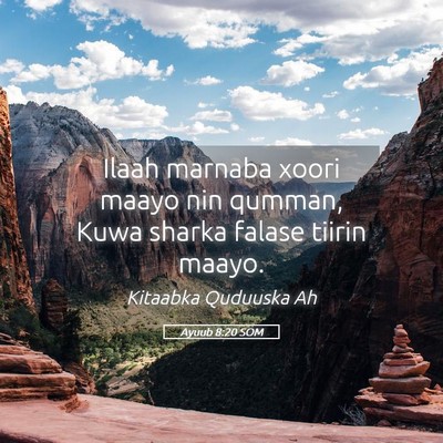 Picture 05 - Ayuub 8:20 SOM - Ilaah marnaba xoori maayo nin qumman, Kuwa sharka - Bible Verse Picture
