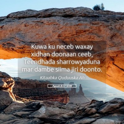 Picture 05 - Ayuub 8:22 SOM - Kuwa ku neceb waxay xidhan doonaan ceeb, - Bible Verse Picture