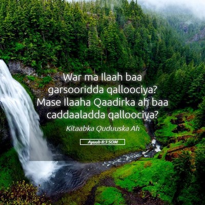 Picture 05 - Ayuub 8:3 SOM - War ma Ilaah baa garsooridda qalloociya? Mase - Bible Verse Picture
