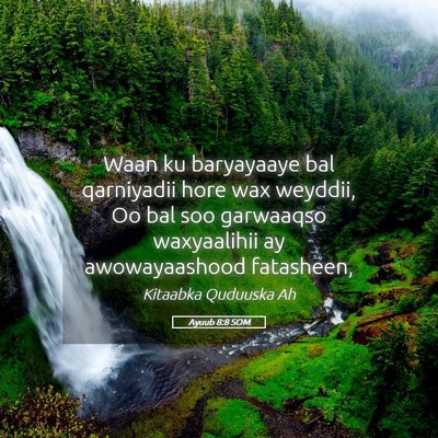 Picture 05 - Ayuub 8:8 SOM - Waan ku baryayaaye bal qarniyadii hore wax - Bible Verse Picture