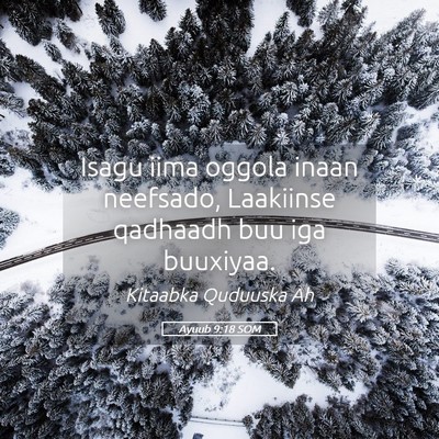Picture 05 - Ayuub 9:18 SOM - Isagu iima oggola inaan neefsado, Laakiinse - Bible Verse Picture