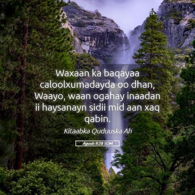 Picture 05 - Ayuub 9:28 SOM - Waxaan ka baqayaa caloolxumadayda oo dhan, Waayo, - Bible Verse Picture