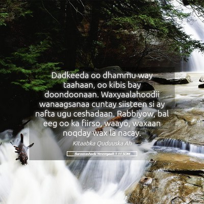 Picture 05 - Baroorashadii Yeremyaah 1:11 SOM - Dadkeeda oo dhammu way taahaan, oo kibis bay - Bible Verse Picture