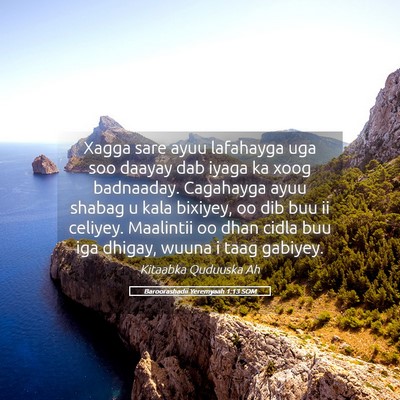 Picture 05 - Baroorashadii Yeremyaah 1:13 SOM - Xagga sare ayuu lafahayga uga soo daayay dab - Bible Verse Picture