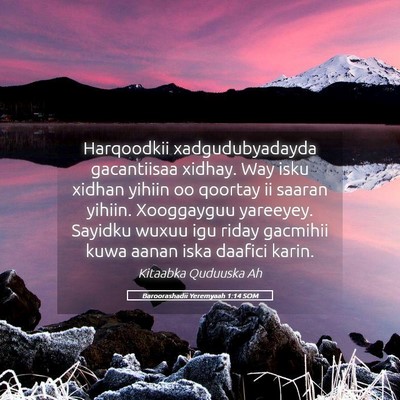 Picture 05 - Baroorashadii Yeremyaah 1:14 SOM - Harqoodkii xadgudubyadayda gacantiisaa xidhay. - Bible Verse Picture