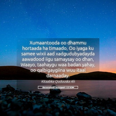 Picture 05 - Baroorashadii Yeremyaah 1:22 SOM - Xumaantooda oo dhammu hortaada ha timaado, Oo - Bible Verse Picture