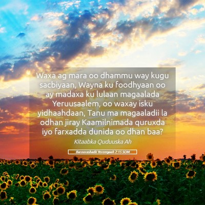 Picture 05 - Baroorashadii Yeremyaah 2:15 SOM - Waxa ag mara oo dhammu way kugu sacbiyaan, Wayna - Bible Verse Picture