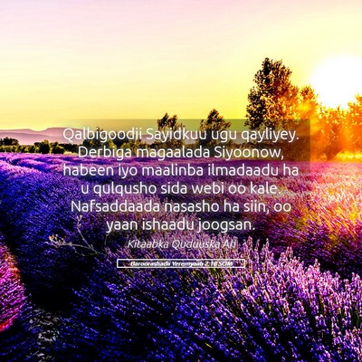 Picture 05 - Baroorashadii Yeremyaah 2:18 SOM - Qalbigoodii Sayidkuu ugu qayliyey. Derbiga - Bible Verse Picture