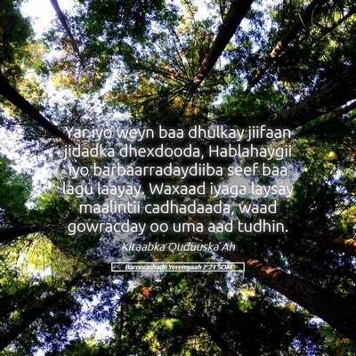 Picture 05 - Baroorashadii Yeremyaah 2:21 SOM - Yar iyo weyn baa dhulkay jiifaan jidadka - Bible Verse Picture