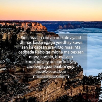 Picture 05 - Baroorashadii Yeremyaah 2:22 SOM - Sidii maalin ciid ah oo kale ayaad dhinac kasta - Bible Verse Picture