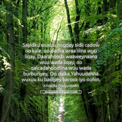 Picture 05 - Baroorashadii Yeremyaah 2:5 SOM - Sayidku wuxuu noqday sidii cadow oo kale, oo - Bible Verse Picture