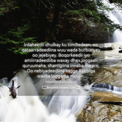 Picture 05 - Baroorashadii Yeremyaah 2:9 SOM - Irdaheedii dhulkay ku tiimbadeen, oo - Bible Verse Picture